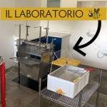 Laboratorio miele